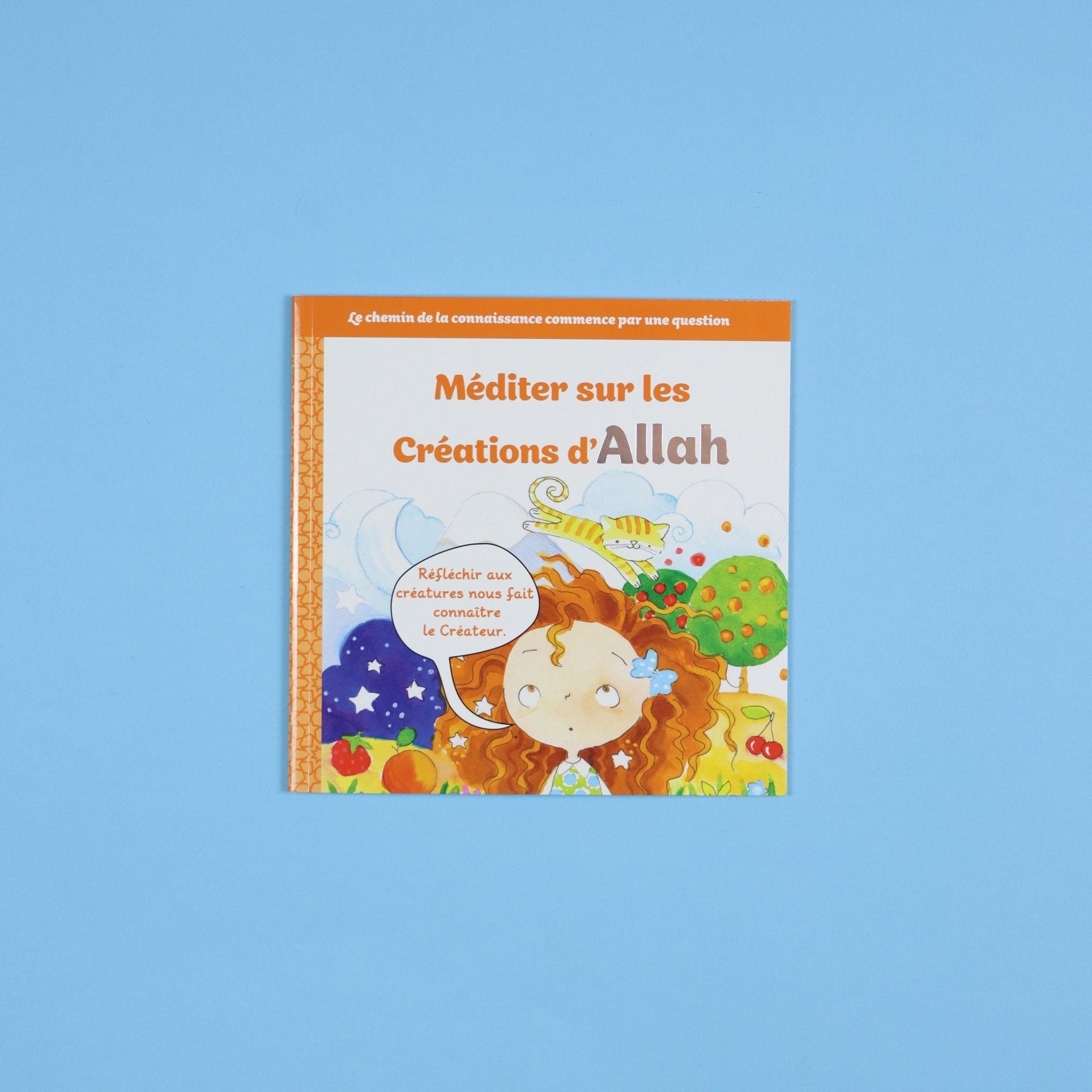 Apprendre qui est Allah (Le Tout Puissant) - 5 Histoires pour Petits Musulmans Digital Future Livre Islam Enfant 9782931043295 Librairie Musulmane Al-imen