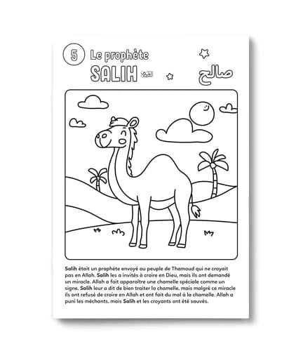 Colorie et apprends : Les 25 prophètes cités dans le Coran - DeeniLearn DeeniLearn Livre Islam Enfant 9782931241219 Librairie Musulmane Al-imen