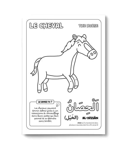 Colorie et apprends : Les 30 animaux cités dans le Coran - DeeniLearn DeeniLearn Livre Islam Enfant 9782931241226 Librairie Musulmane Al-imen