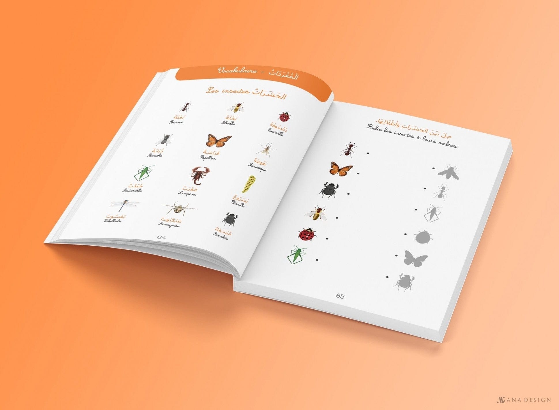 La Moyenne Section - Al-fi'atu Al-moutawassitah - Tout Le Programme - 4/5 Ans Idrak Livre > Islam 9782959086311 Librairie Musulmane Al-imen