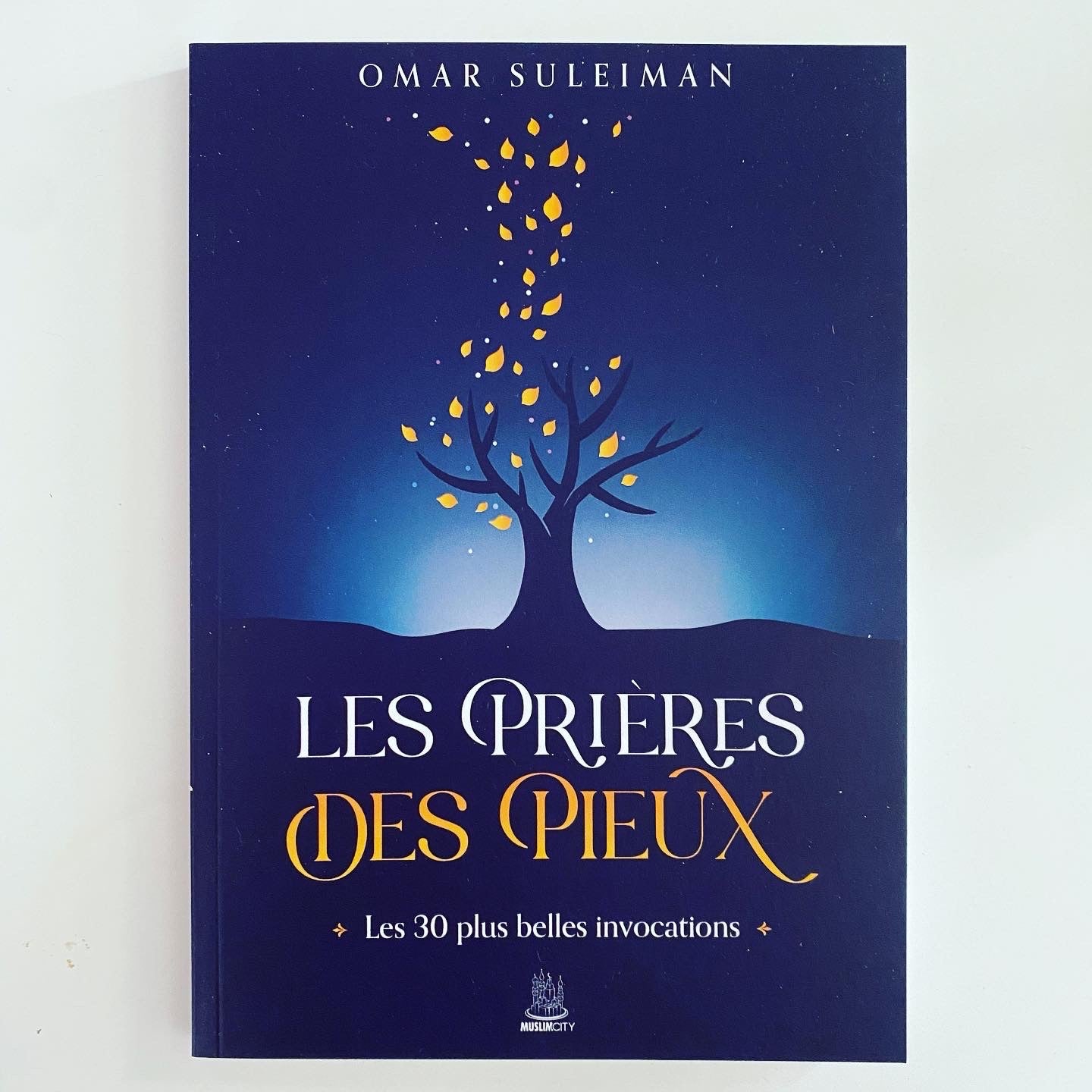 Les prières des pieux - Omar Suleiman - MuslimCity Al - imen