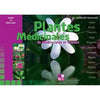 plantes-medicinales-de-mediterranee-et-dorient